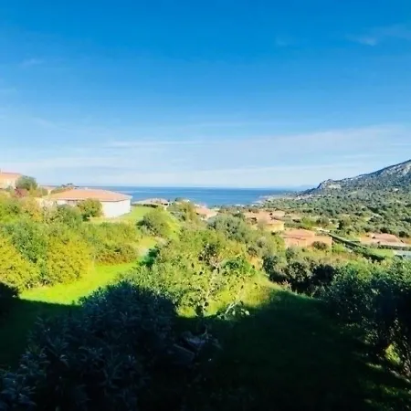 Piana D'occi 1 Lumio (Corsica)
